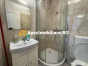 Garsoniera de inchiriat P-ta Victoriei București | ApexImob