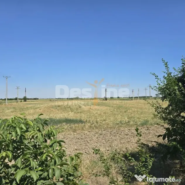 Teren industrial suprafata 5759 mp, Calarasi, DN3B - Modelu (Calarasi)