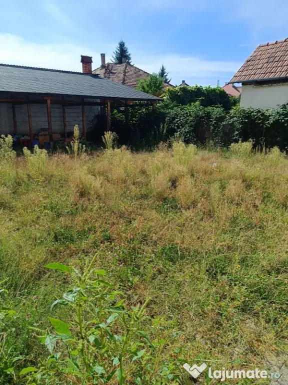 Cladire compusa din 4 apartamente L.Calin - Bistrita (Bistrita-Nasaud)