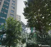 Apartament 2 camere, etaj intermediar, Mănăștur