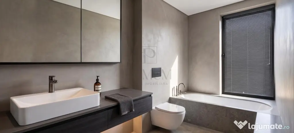 PROIECT DEOSEBIT - DESPARTIT PRIN CT - ZONA EXCELENTA - Mosnita Noua (Timis)