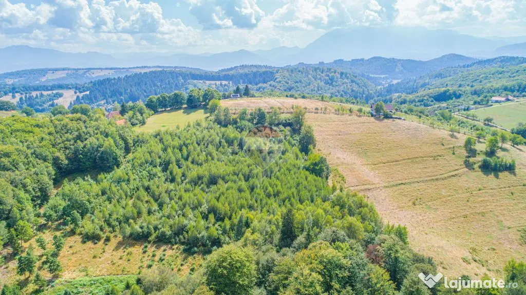 Teren extravilan Poiana Marului 741mp, 2053mp, 3906mp - Poiana Marului (Brasov)