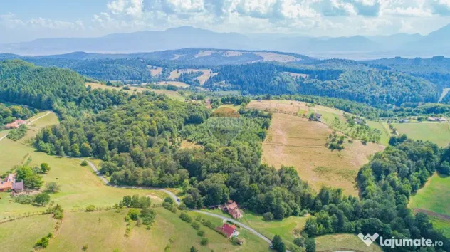 Teren extravilan Poiana Marului 741mp, 2053mp, 3906mp - Poiana Marului (Brasov)