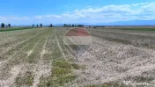 Teren 16,661mp Satu Nou 