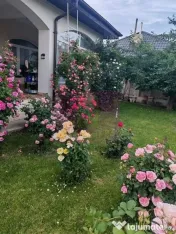 Vila superba in stil mediteranean Saftica- Corbeanca- COM... 
