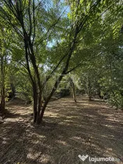 Clinceni | Teren intravilan 1.655 mp + casă din 2018 | Stra