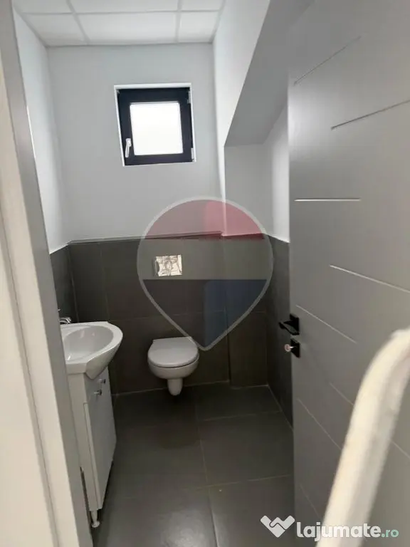 Depozit / hală de de vanzare | Acces TIR | Chitila - Rudeni (Bucuresti-Ilfov)