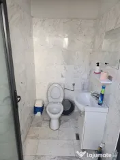 Casa deosebita in Valu lui Traian aproape de soseaua nati... 