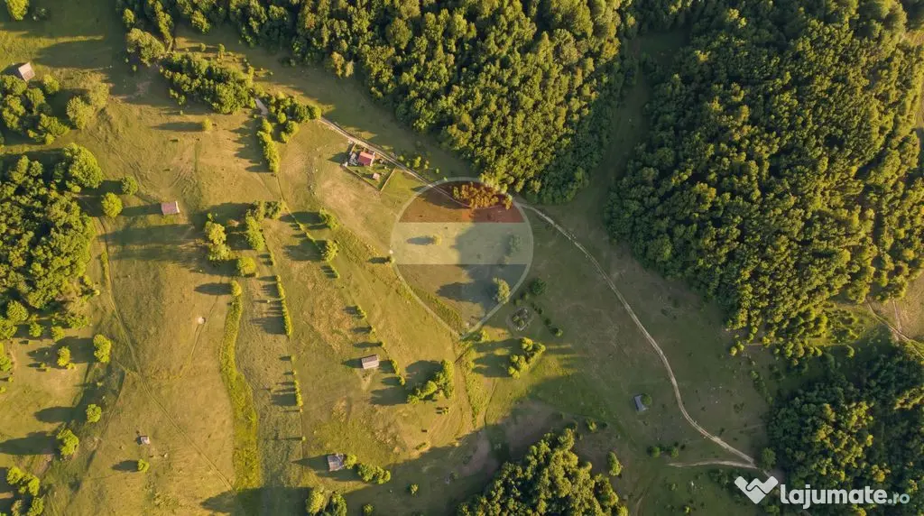 Teren intravilan|835MP|Ciocanu, Argeș|Priveliște specta... - Dambovicioara (Arges)