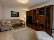 Apartament 2 camere | Piata Victoriei - Banu Manta | Ambiant 