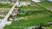 CAZANESTI DN67 TEREN 3956 MP