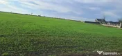 Vand teren in Lazu 