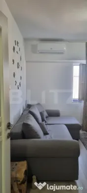 Apartament cu 1 camera 