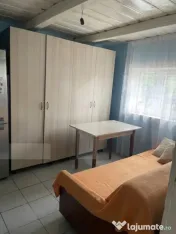 Casă de vânzare, teren 5400 mp, zona Brăești 