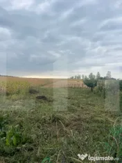 Casă de vânzare, teren 5400 mp, zona Brăești 