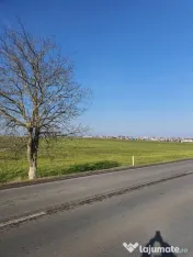 Teren intravilan cu deschidere la DN38 Agigea- Techirghiol 