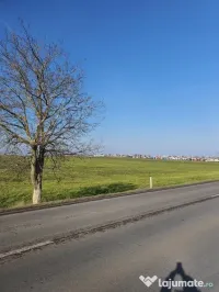 Teren intravilan cu deschidere la DN38 Agigea- Techirghiol 
