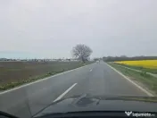 Teren intravilan cu deschidere la DN38 Agigea- Techirghiol 