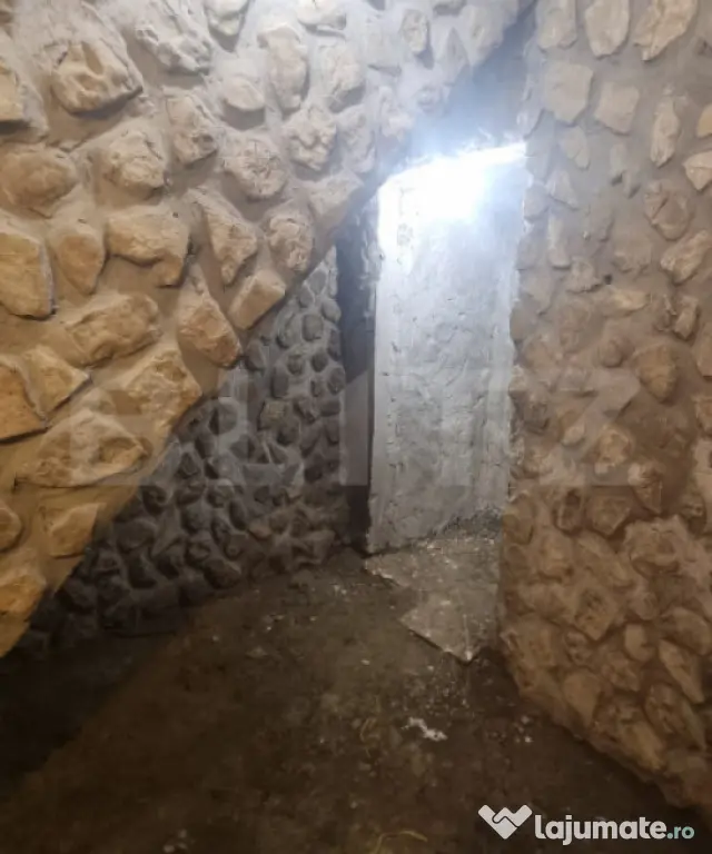 Casa la Pret de Apartament : plan parter cu beci - zona Lunc - Lunca Cetatuii (Iasi)