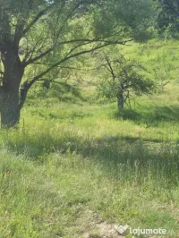 Teren vânzare 1,73 ha 