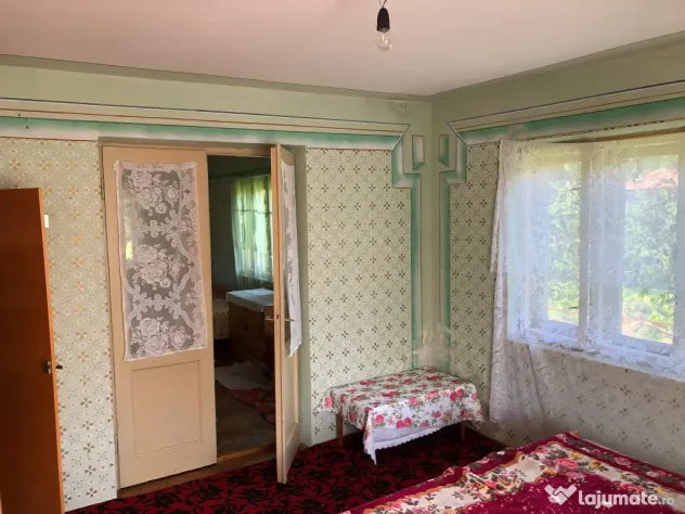 Casa P+1,+ teren 10.000mp, + teren agrigol 19.800mp - Preotesti (Olt)