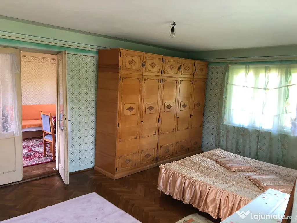 Casa P+1,+ teren 10.000mp, + teren agrigol 19.800mp - Preotesti (Olt)