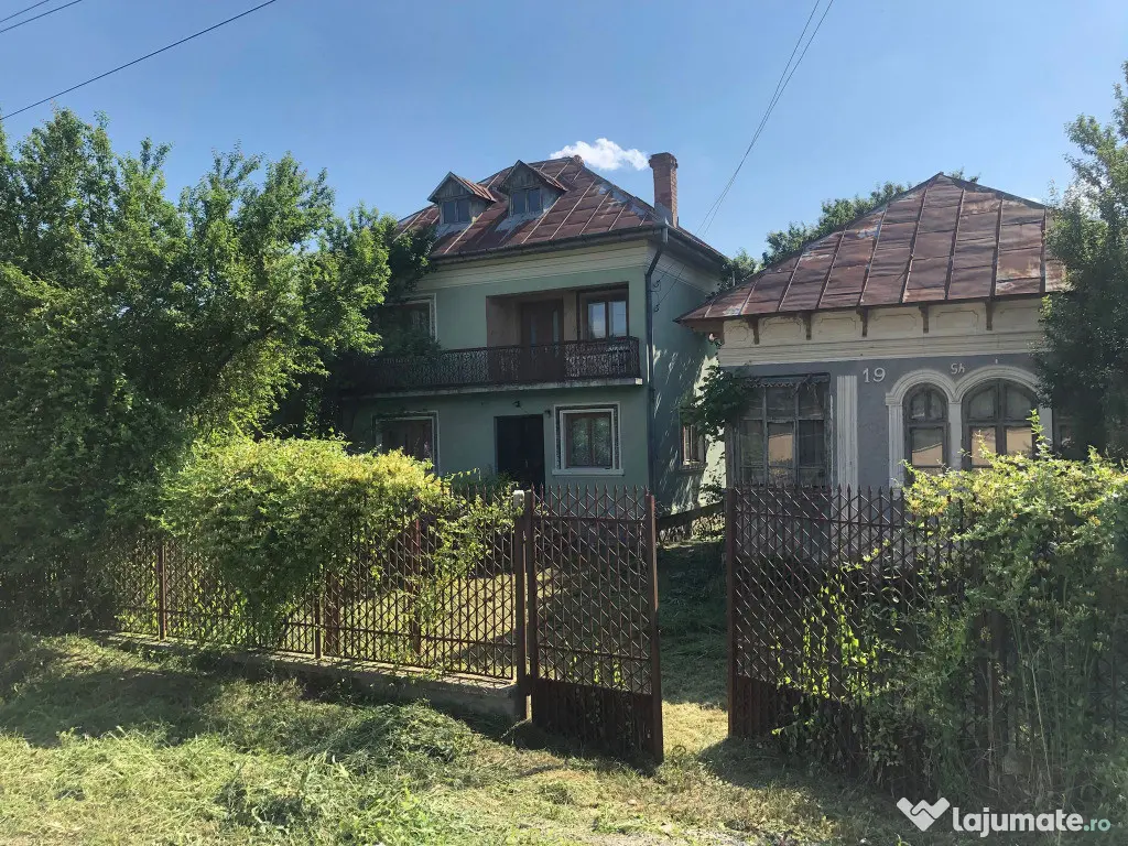 Casa P+1,+ teren 10.000mp, + teren agrigol 19.800mp - Preotesti (Olt)