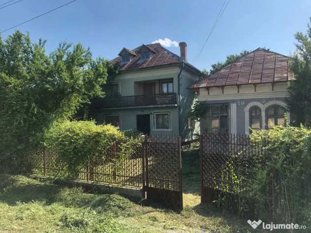 Casa P+1,+ teren 10.000mp, + teren agrigol 19.800mp - Preotesti (Olt)