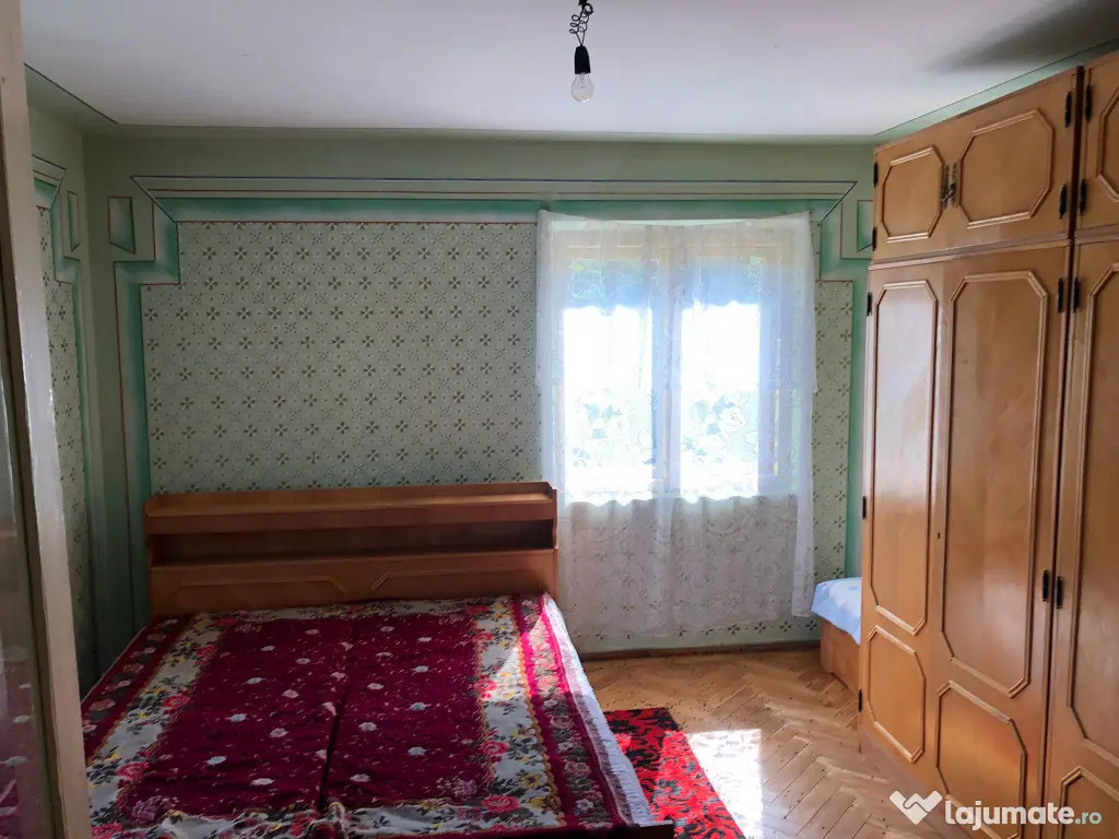 Casa P+1,+ teren 10.000mp, + teren agrigol 19.800mp - Preotesti (Olt)