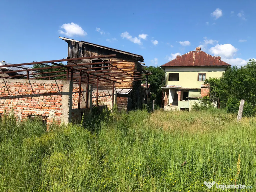 Casa P+1,+ teren 10.000mp, + teren agrigol 19.800mp - Preotesti (Olt)