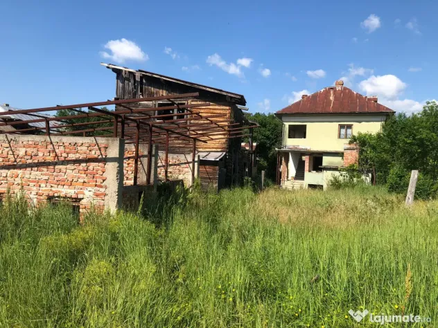 Casa P+1,+ teren 10.000mp, + teren agrigol 19.800mp - Preotesti (Olt)