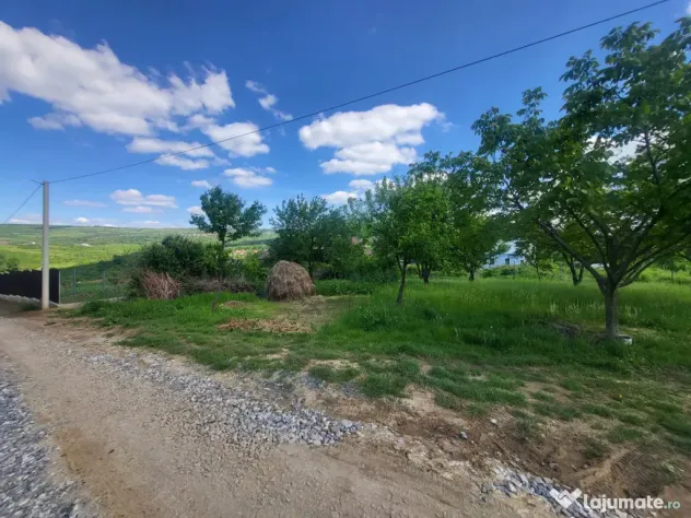 Teren de vanzare Barnova, cu priveliste Vanzare imediata lan - Barnova (Iasi)
