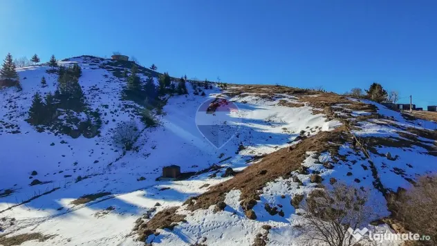 Teren Sirnea cu priveliste superba - Sirnea (Brasov)