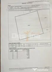 Teren intravilan cu fundatie - Strada Dimitrie Cantemir 