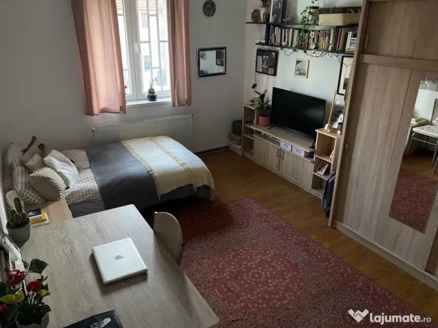 Baba novac fildesului dristor - Bucuresti (Bucuresti-Ilfov)