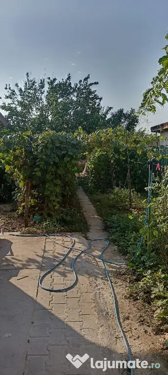 Langa balta lilieci proprietate 4 camere si 863mp curte