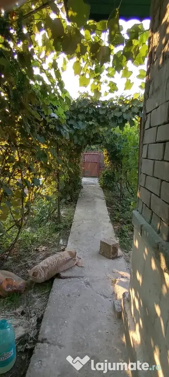 Langa balta lilieci proprietate 4 camere si 863mp curte