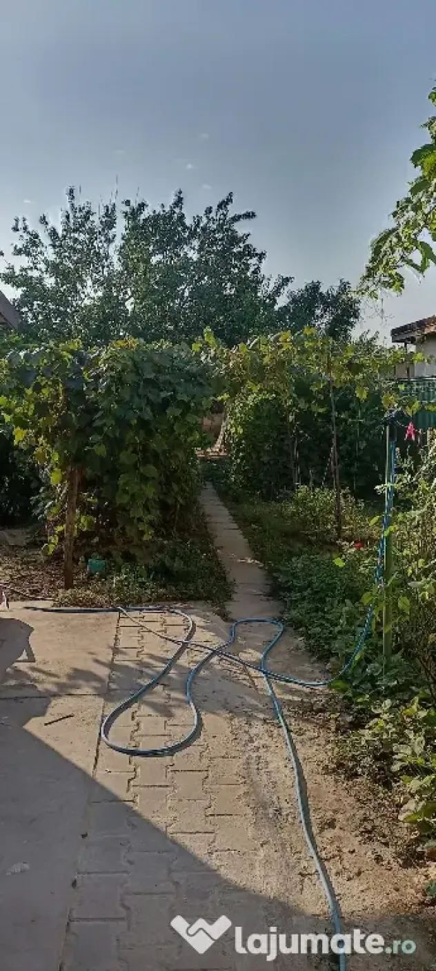 Langa balta lilieci proprietate 4 camere si 863mp curte