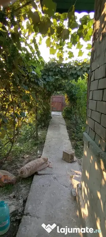 Langa balta lilieci proprietate 4 camere si 863mp curte