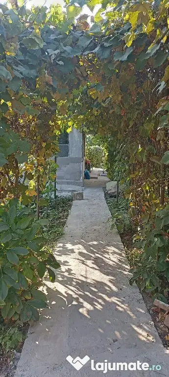 Langa balta lilieci proprietate 4 camere si 863mp curte