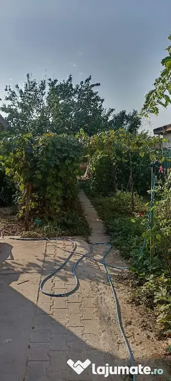 Langa balta lilieci proprietate 4 camere si 863mp curte