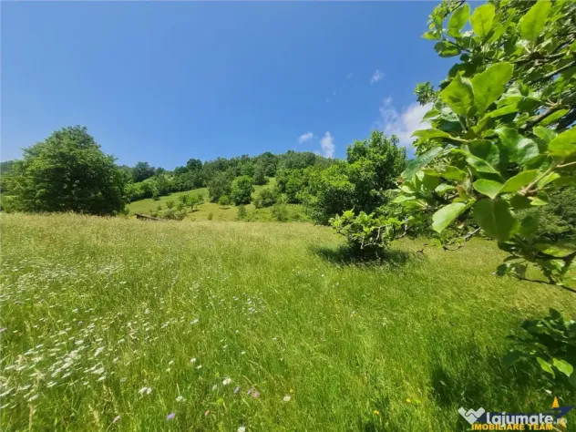FILM! 1.450 mp intravilan, la DN, incantare peisagistica, Br - Moieciu de Jos (Brasov)