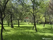 Casă de vânzare în zona Câmpulung înconjurată de na... 