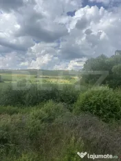 Teren extravilan in suprafata de 22183 mp