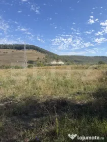 Teren intravila dde vanzare, in Ortelec 56 ari.