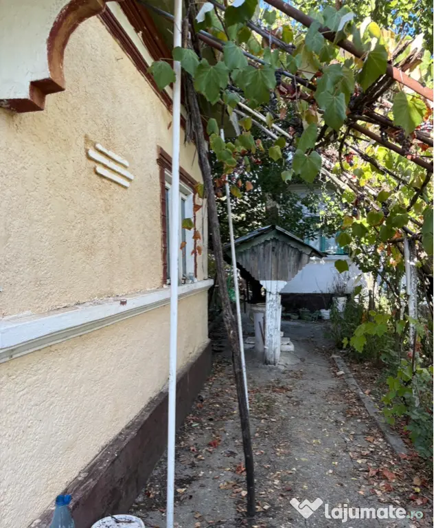 Vând sau schimb proprietate comuna Murgași, sat Gaia, județul Dolj