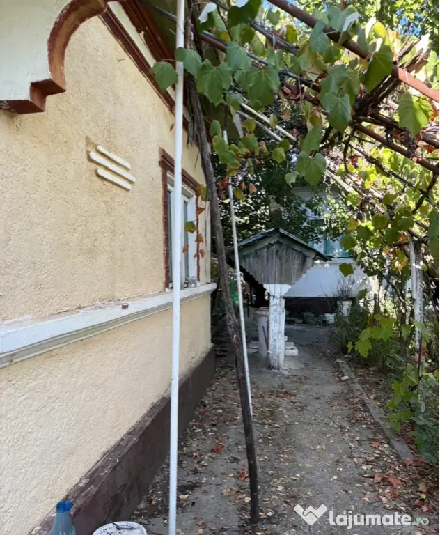 Vând sau schimb proprietate comuna Murgași, sat Gaia, județul Dolj