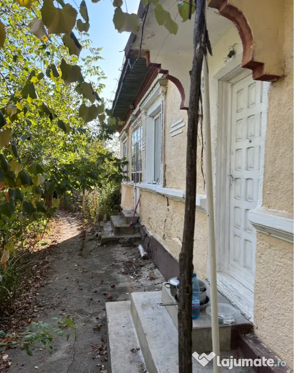 Vând sau schimb proprietate comuna Murgași, sat Gaia, județul Dolj