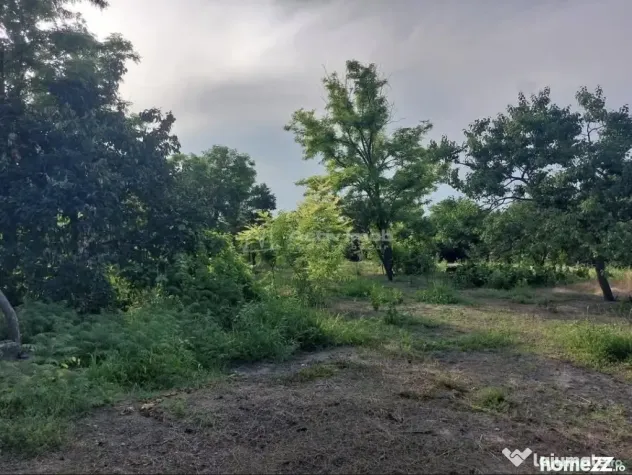 Casa 135 mp, teren 2621 mp, Mihailesti - Mihailesti (Buzau)