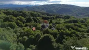 Casă in mijlocul naturii in orașul Câmpulung 